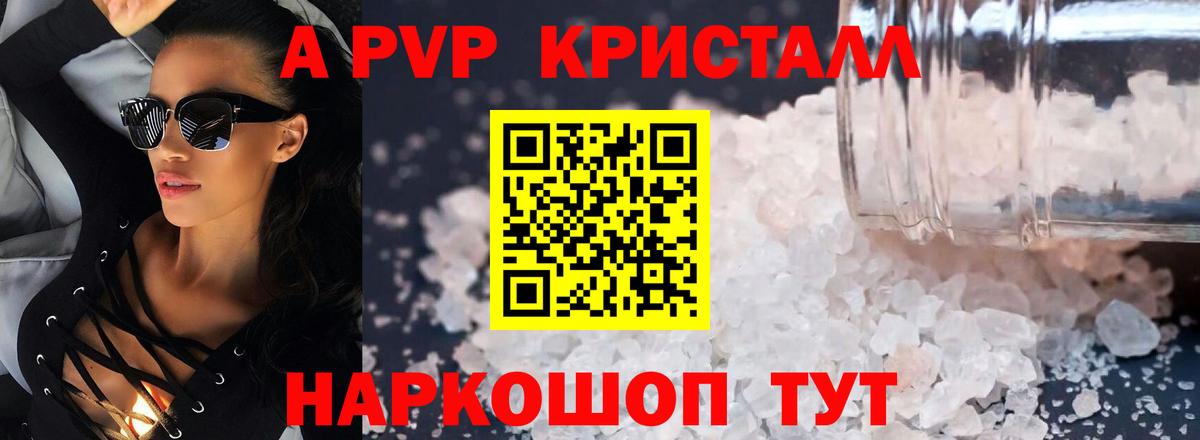 A PVP СК КРИС Саратов